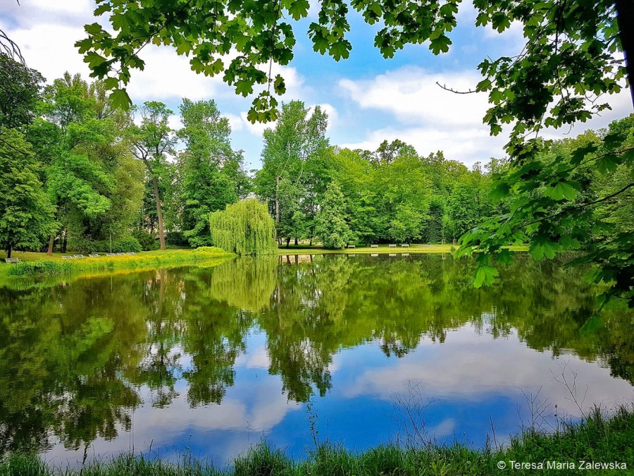 Park Wilanowski