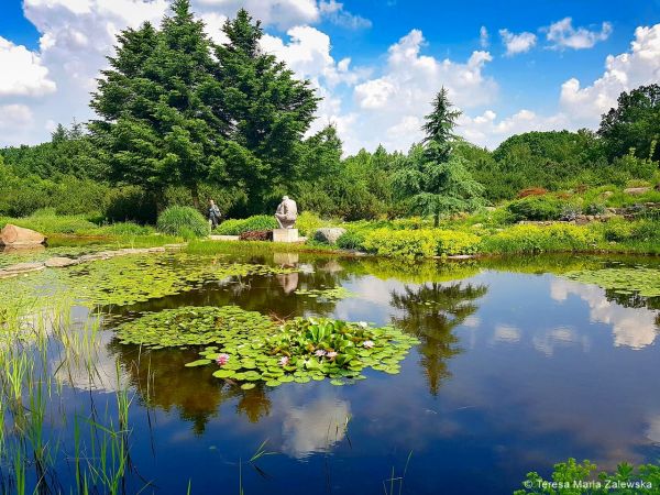 Ogród botaniczny w Powsinie