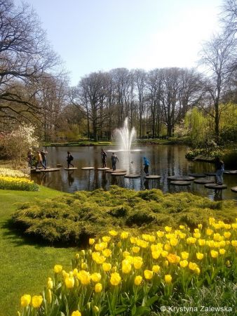 Ogród Keukenhof. W królestwie tulipanów.