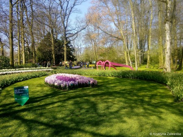 Ogród Keukenhof. W królestwie tulipanów.
