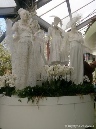 Ogród Keukenhof. W królestwie tulipanów.