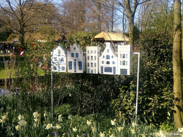 Ogród Keukenhof. W królestwie tulipanów.