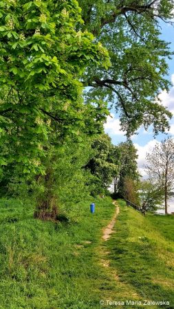 Nad Jeziorem Zegrzyńskim