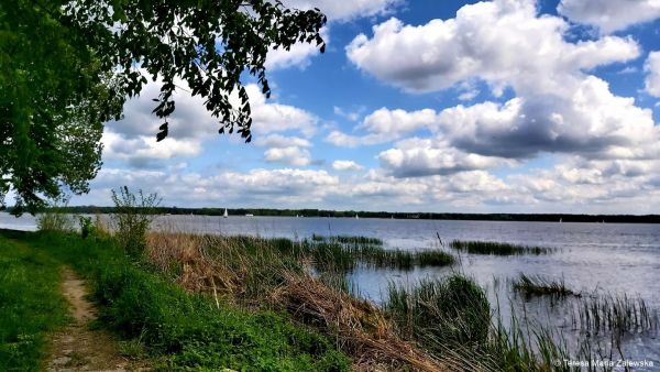 Nad Jeziorem Zegrzyńskim