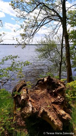 Nad Jeziorem Zegrzyńskim