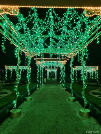 Królewski Ogród Światła w Wilanowie