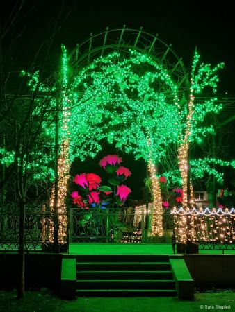 Królewski Ogród Światła w Wilanowie