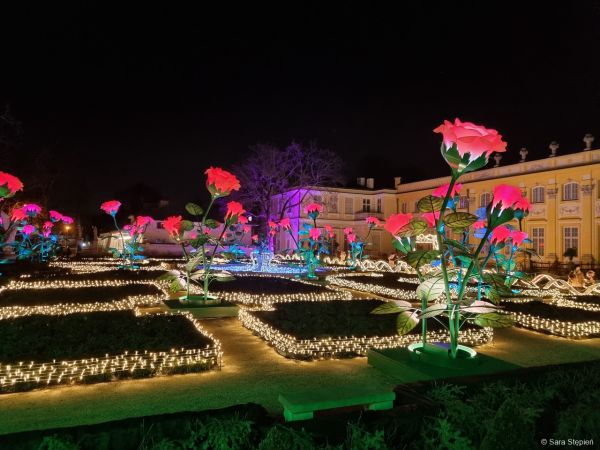 Królewski Ogród Światła w Wilanowie