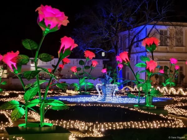 Królewski Ogród Światła w Wilanowie