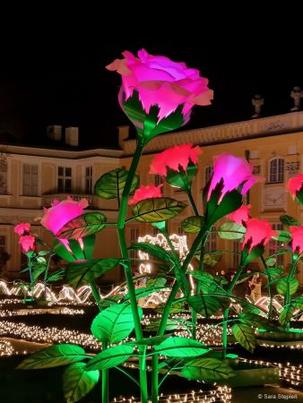 Królewski Ogród Światła w Wilanowie