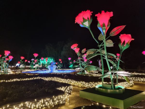 Królewski Ogród Światła w Wilanowie