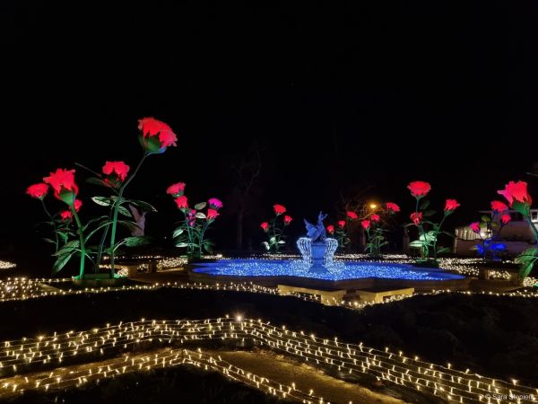 Królewski Ogród Światła w Wilanowie