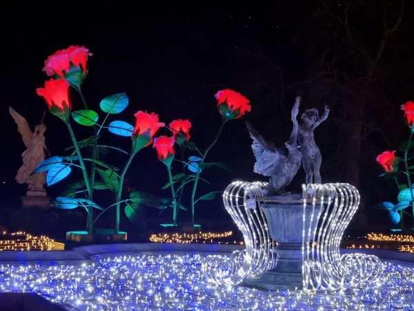 Królewski Ogród Światła w Wilanowie