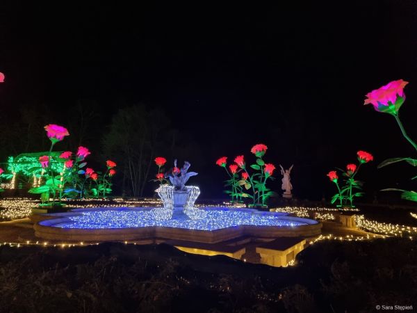 Królewski Ogród Światła w Wilanowie