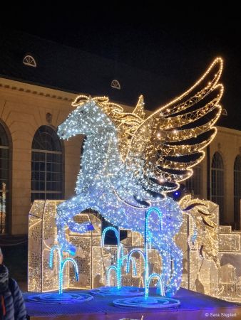 Królewski Ogród Światła w Wilanowie