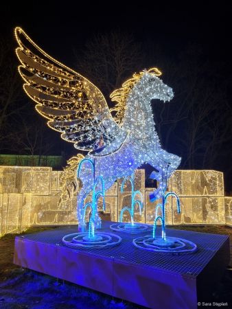 Królewski Ogród Światła w Wilanowie