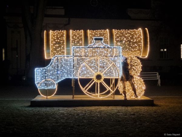 Królewski Ogród Światła w Wilanowie