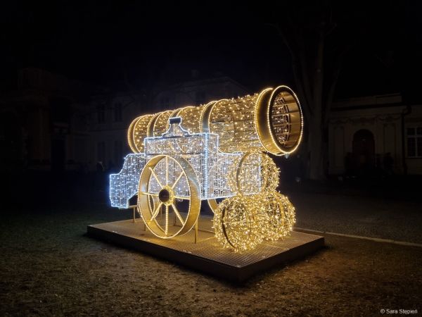 Królewski Ogród Światła w Wilanowie