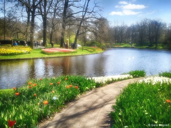 Ogród Keukenhof. Tulipanowy raj.