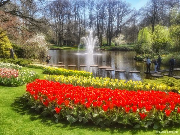 Ogród Keukenhof. Tulipanowy raj.