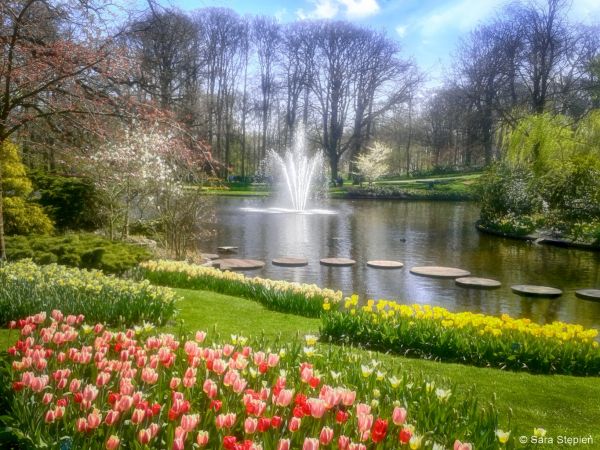 Ogród Keukenhof. Tulipanowy raj.
