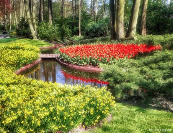 Ogród Keukenhof. Tulipanowy raj.