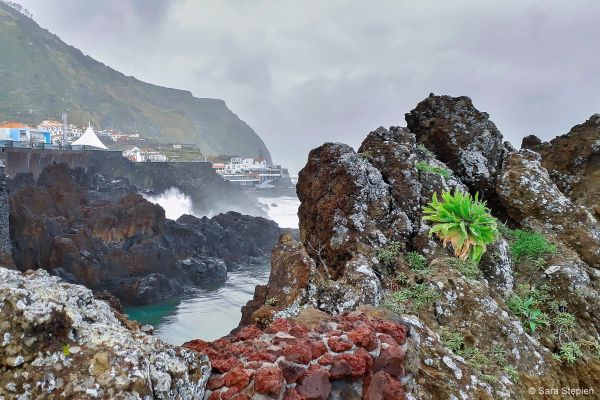Porto Moniz