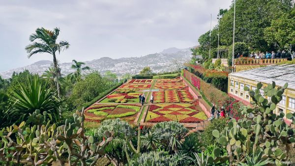 Jardim Botânico da Madeira