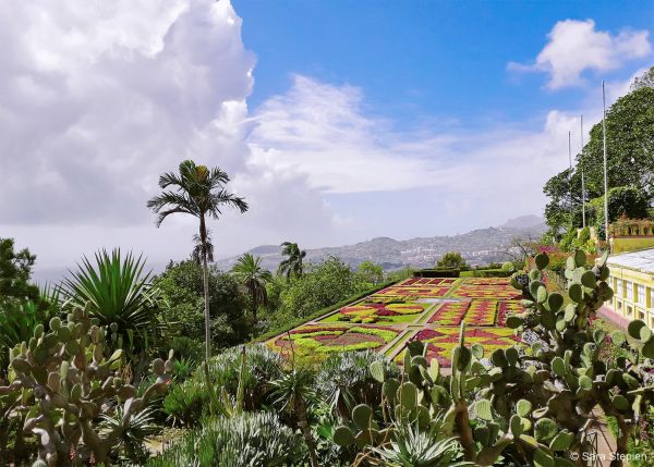 Jardim Botânico da Madeira