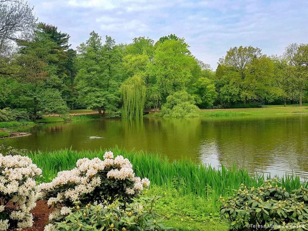 Łazienki Królewskie w Warszawie