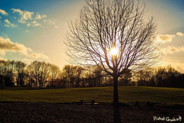 Fotografia przyrodnicza