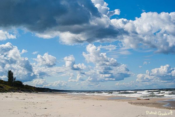 Fotografia przyrodnicza