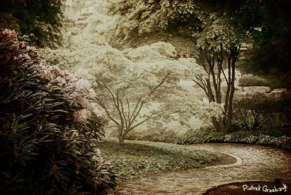 Fotografia przyrodnicza