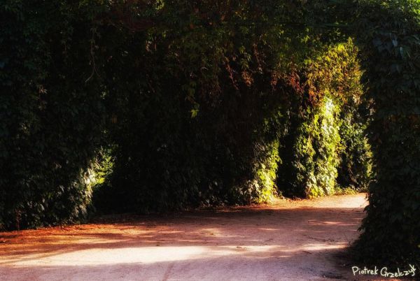 Fotografia przyrodnicza