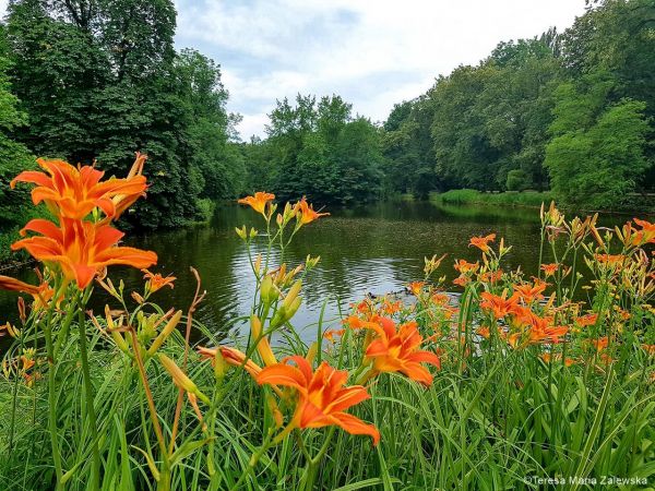 Łazienki Królewskie w Warszawie