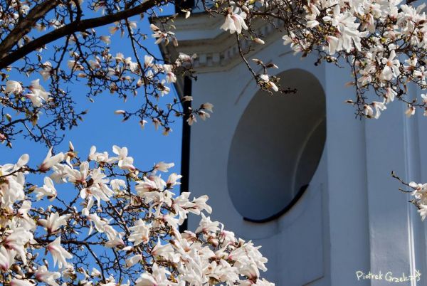 Fotografia przyrodnicza