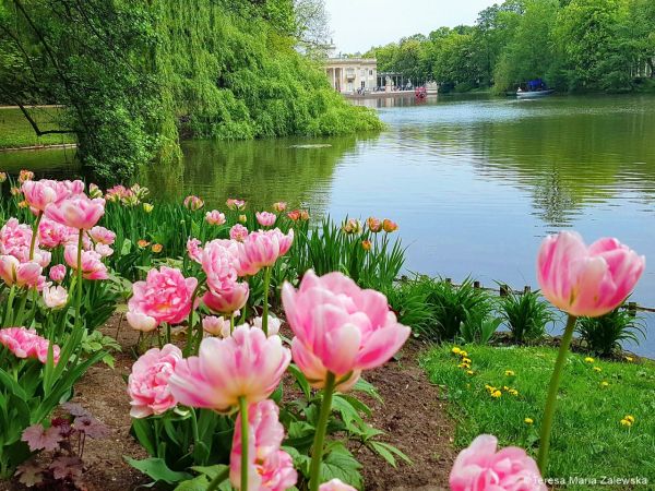 Łazienki Królewskie w Warszawie