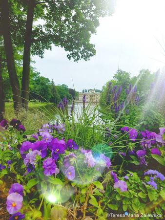 Łazienki Królewskie w Warszawie