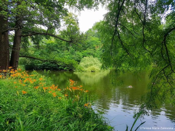 Łazienki Królewskie w Warszawie