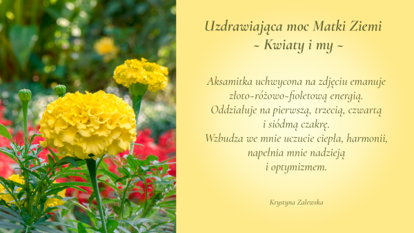 Uzdrawiająca moc Matki Ziemi. Kwiaty i my