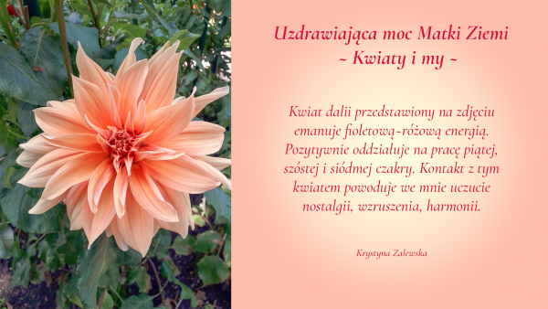 Uzdrawiająca moc Matki Ziemi. Kwiaty i my