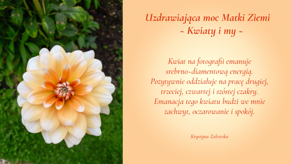 Uzdrawiająca moc Matki Ziemi. Kwiaty i my