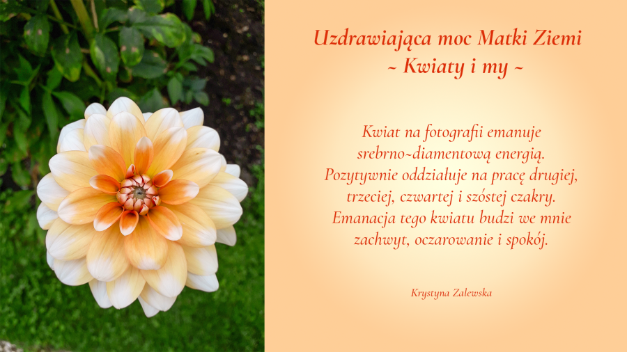 Uzdrawiająca moc Matki Ziemi. Kwiaty i my