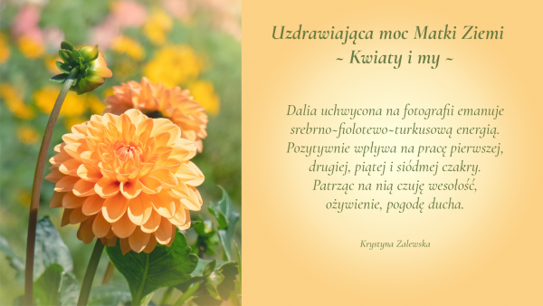 Uzdrawiająca moc Matki Ziemi. Kwiaty i my