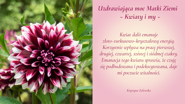 Uzdrawiająca moc Matki Ziemi. Kwiaty i my