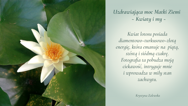 Uzdrawiająca moc Matki Ziemi. Kwiaty i my