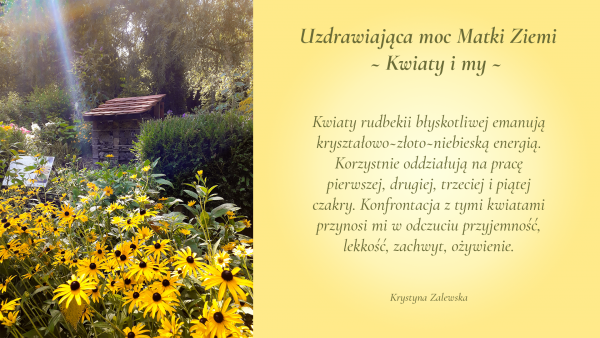 Uzdrawiająca moc Matki Ziemi. Kwiaty i my