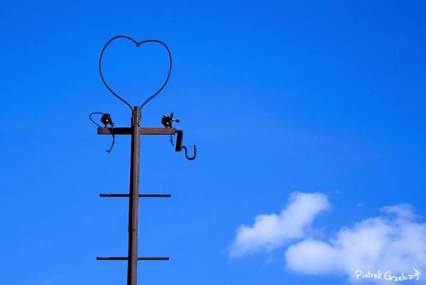 Fotografia przyrodnicza