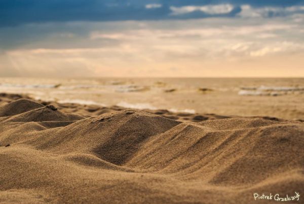 Fotografia przyrodnicza