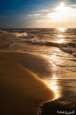 Fotografia przyrodnicza